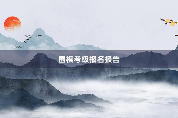 围棋考级报名报告
